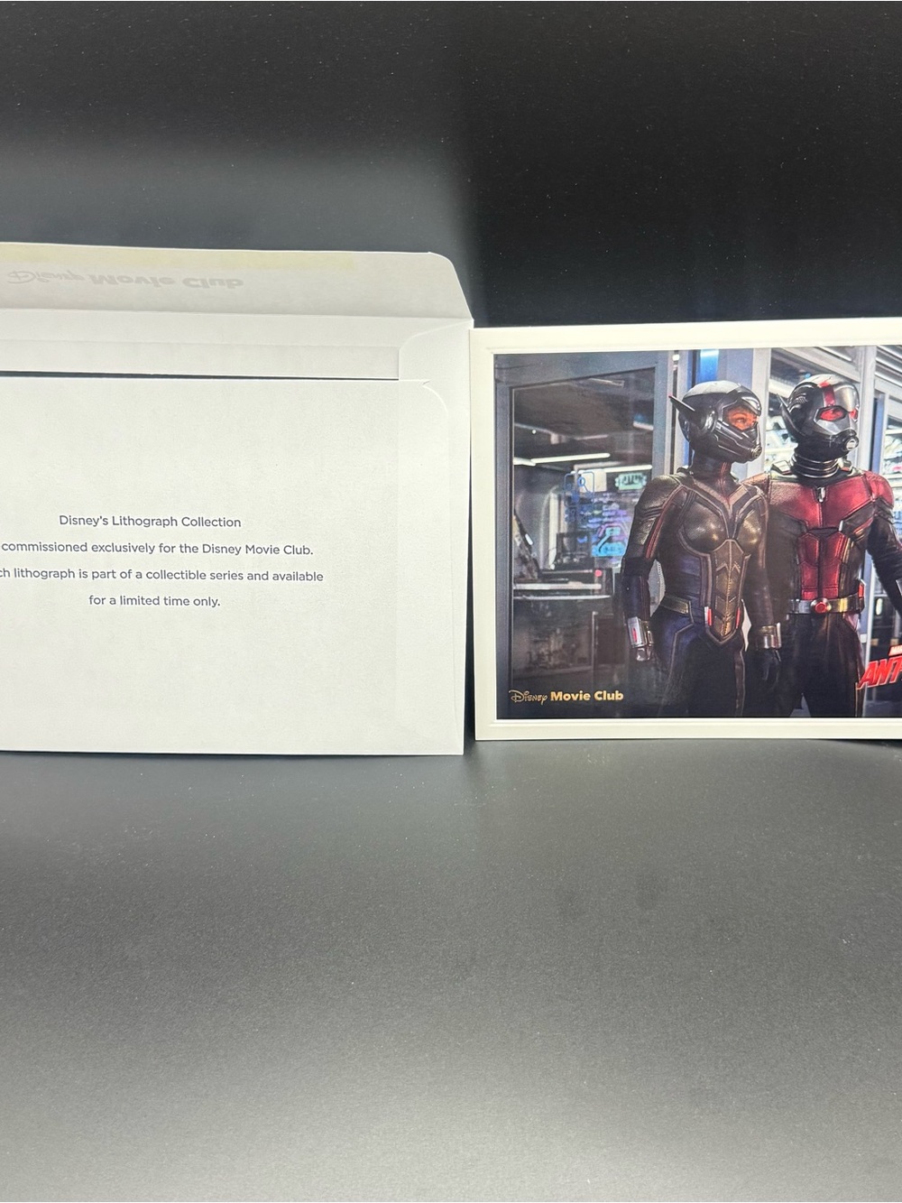Disney Ant-Man, Wakanda, Mulan, Mickey and Jasmine Lithographs (5)